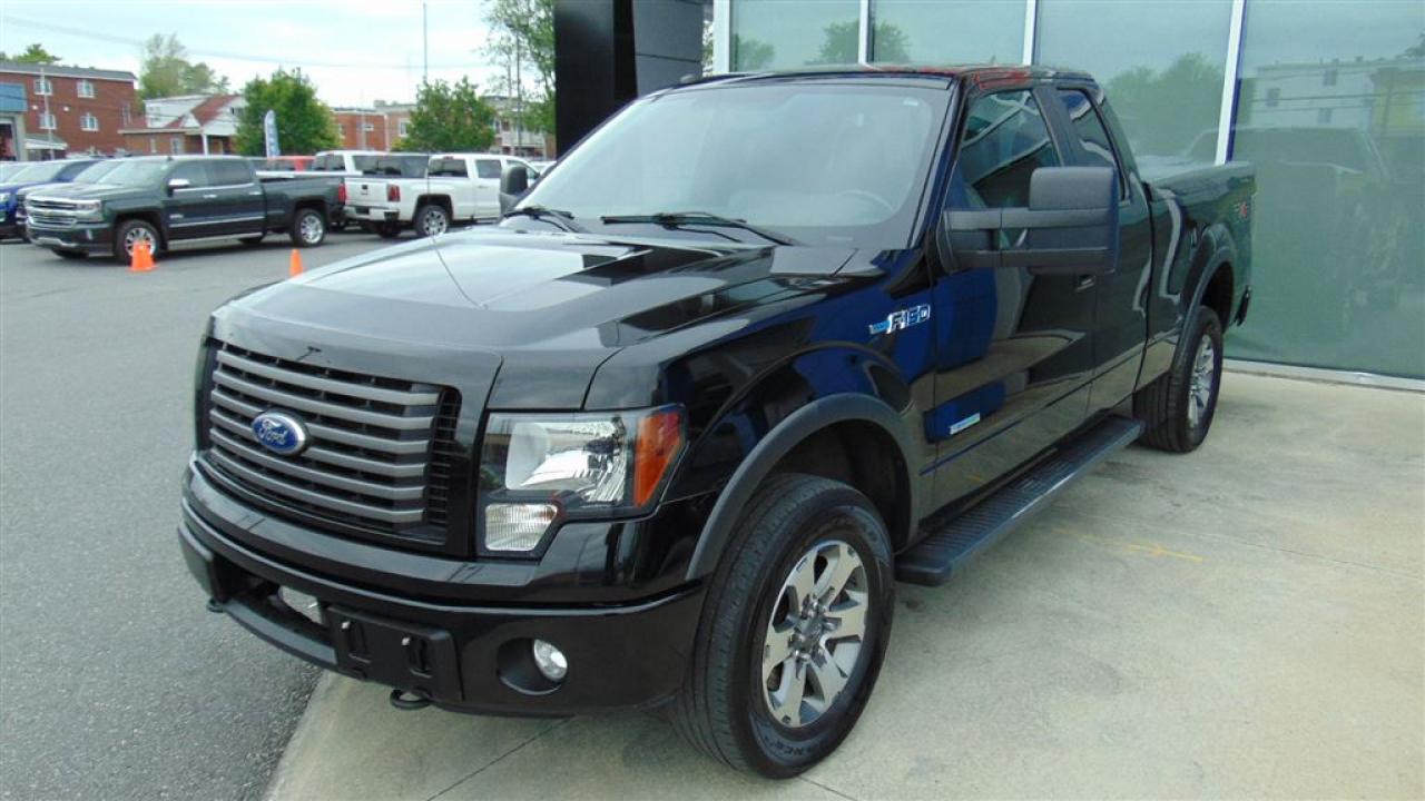 Used 2011 Ford F-150 FX4 for sale in St-Hyacinthe, QC