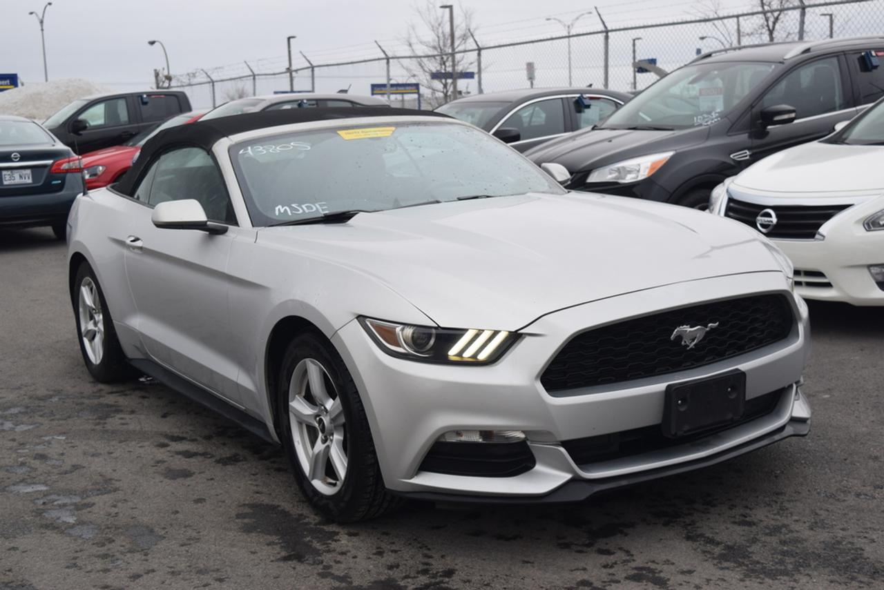<a href=https://www.autoaubaine.com/Ford-Mustang-c7025664.html>https://www.autoaubaine.com/Ford-Mustang-c7025664.html</a>

CAMERA DE RECUL - BLUETOOTH - RÉGULATEUR DE VITESSE 1200 véhicules - Livraison 24h - Financement facile à partir de 0.9% - Ouvert 7 jours / 5 soirs Automobile en Direct.com cest le plus gros inventaire de véhicules doccasion, avec toutes les marques et tous les modèles offert au meilleur prix. Cest aussi profiter de nombreux avantages exclusifs et dune gamme complète de services offerts en un seul endroit: - Livraison rapide en moins de 24h. - Financement facile sur place à partir de 0.9%. - 2ième et 3ième chance au crédit 100% approuvée. - Allocation incroyable pour vente et échange de véhicule sur place. Au delà des véhicules, Automobile en Direct.com, cest une équipe de 150 passionnés qui vous accueille dans une ambiance sincère, amicale et courtoise. Il ny a pas de fla-fla ou de pression inutile. Vous vendez votre véhicule? Nous achetons au meilleur prix même si vous nachetez pas avec nous. Passez nous voir en magasin ou prenez rendez-vous pour un essai routier. Faites vite. Chaque véhicule est unique. Ce véhicule ne correspond pas exactement à ce que vous recherchez? Visitez Automobile en Direct.com, nous avons accès à toutes les marques et tous les modèles au meilleur prix garanti. Automobile en Direct.com - Encore mieux que du neuf. Automobile en Direct.com is the largest used car inventory with all makes and models offered at the lowest price. They also offer access to exclusive offers and services in one location: - Fast delivery in less than 24 hours. - Easy financing starting at 0.9%. - 2nd and 3rd credit chance 100% approved. - Best value offered for your trade-in. Beyond the vehicles, Automobile en Direct.com is a team of 150 pasionnate people that welcome you in a simple, friendly and nice atmosphere. There is no run-around or pressure when you deal with us. Are you selling your vehicle? We buy at the best price, even if you dont buy with us. Visit us in store or make an appointment for a test drive. Hurry hup, every vehicle is unique. This vehicle does not match exactly with what you want? Visit us at Automobile en Direct.com, we have access to all makes and vehicle at the lowest price guaranteed Automobile en Direct.com - Even better than new.