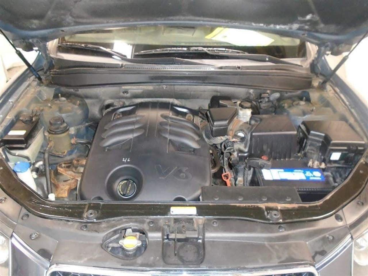 655964.11504560