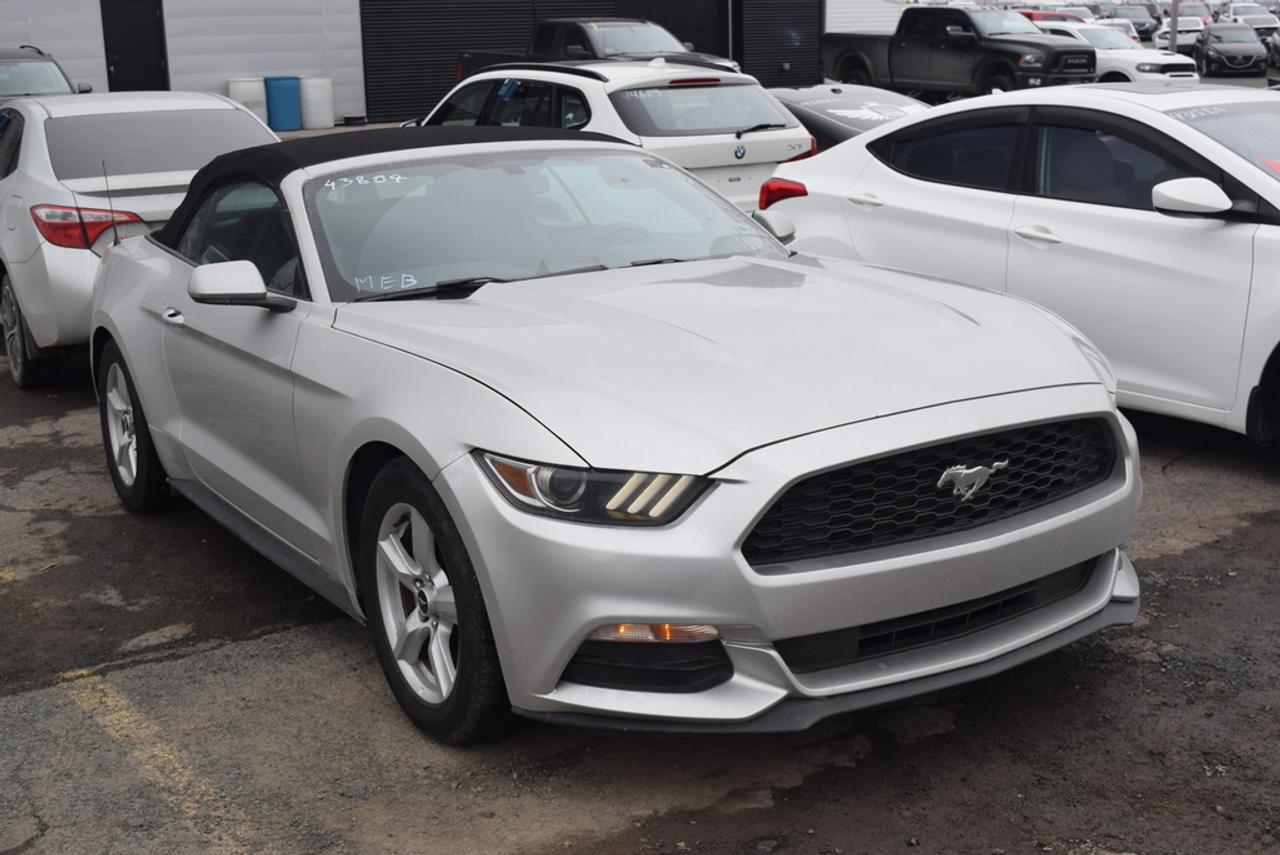 <a href=https://www.autoaubaine.com/Ford-Mustang-c7025665.html>https://www.autoaubaine.com/Ford-Mustang-c7025665.html</a>

CAMERA DE RECUL - BLUETOOTH - RÉGULATEUR DE VITESSE 1200 véhicules - Livraison 24h - Financement facile à partir de 0.9% - Ouvert 7 jours / 5 soirs Automobile en Direct.com cest le plus gros inventaire de véhicules doccasion, avec toutes les marques et tous les modèles offert au meilleur prix. Cest aussi profiter de nombreux avantages exclusifs et dune gamme complète de services offerts en un seul endroit: - Livraison rapide en moins de 24h. - Financement facile sur place à partir de 0.9%. - 2ième et 3ième chance au crédit 100% approuvée. - Allocation incroyable pour vente et échange de véhicule sur place. Au delà des véhicules, Automobile en Direct.com, cest une équipe de 150 passionnés qui vous accueille dans une ambiance sincère, amicale et courtoise. Il ny a pas de fla-fla ou de pression inutile. Vous vendez votre véhicule? Nous achetons au meilleur prix même si vous nachetez pas avec nous. Passez nous voir en magasin ou prenez rendez-vous pour un essai routier. Faites vite. Chaque véhicule est unique. Ce véhicule ne correspond pas exactement à ce que vous recherchez? Visitez Automobile en Direct.com, nous avons accès à toutes les marques et tous les modèles au meilleur prix garanti. Automobile en Direct.com - Encore mieux que du neuf. Automobile en Direct.com is the largest used car inventory with all makes and models offered at the lowest price. They also offer access to exclusive offers and services in one location: - Fast delivery in less than 24 hours. - Easy financing starting at 0.9%. - 2nd and 3rd credit chance 100% approved. - Best value offered for your trade-in. Beyond the vehicles, Automobile en Direct.com is a team of 150 pasionnate people that welcome you in a simple, friendly and nice atmosphere. There is no run-around or pressure when you deal with us. Are you selling your vehicle? We buy at the best price, even if you dont buy with us. Visit us in store or make an appointment for a test drive. Hurry hup, every vehicle is unique. This vehicle does not match exactly with what you want? Visit us at Automobile en Direct.com, we have access to all makes and vehicle at the lowest price guaranteed Automobile en Direct.com - Even better than new.