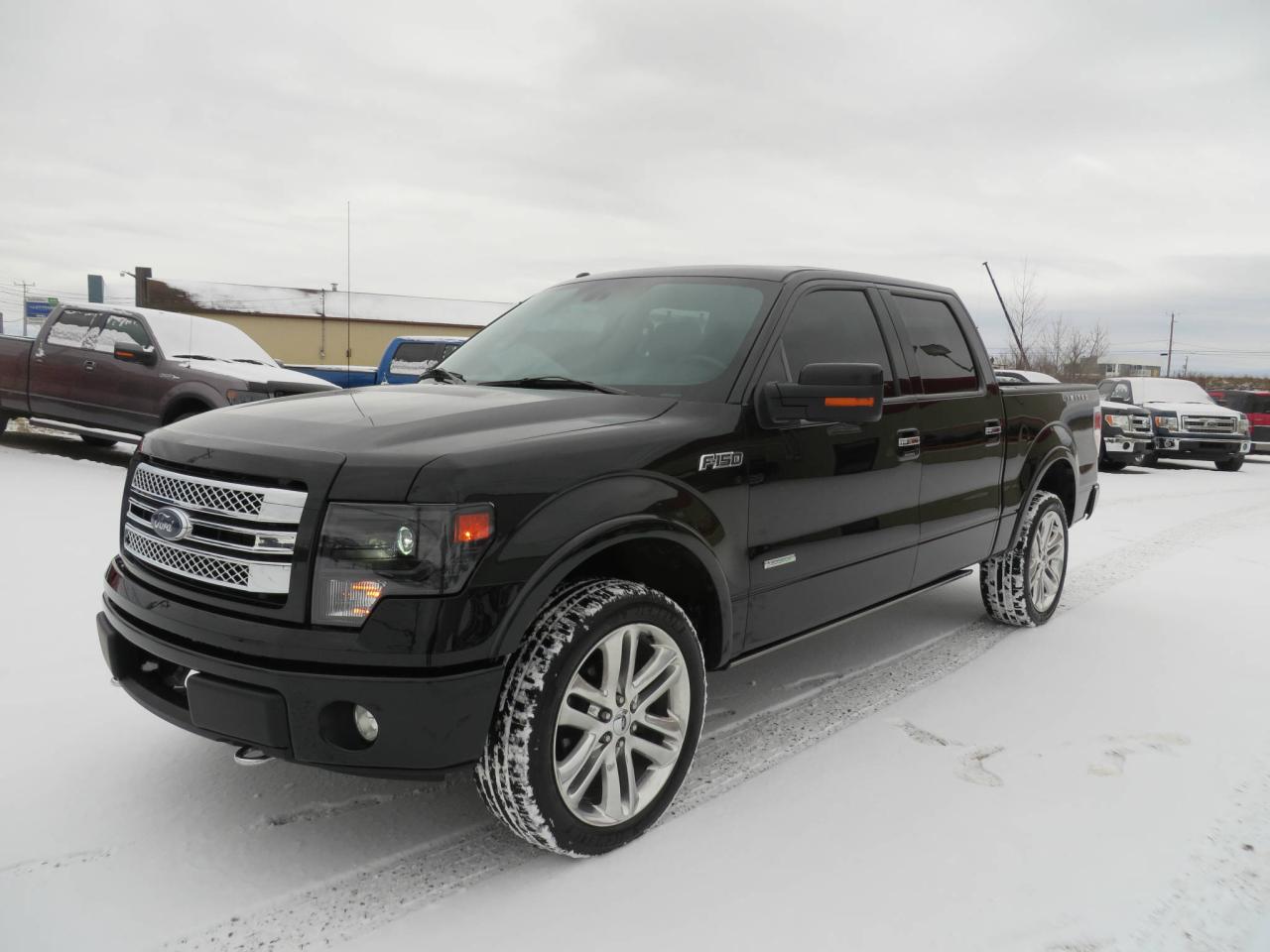 Used 2014 Ford F-150 Cab SuperCrew 4RM 145 po LIMITED for sale in Lévis, QC