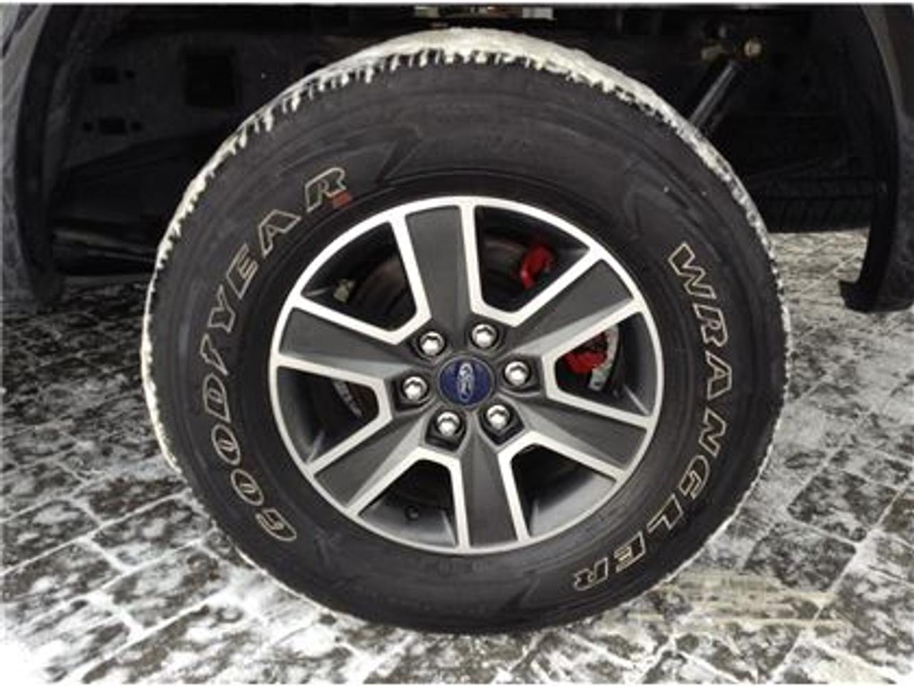 658694.11557336