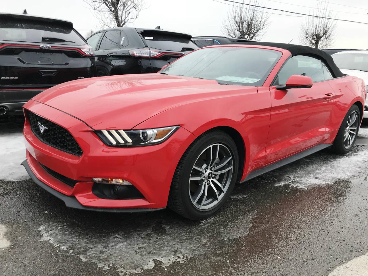 Used 2017 Ford Mustang EcoBoost haut niveau convertible Premium for sale in St-Eustache, QC