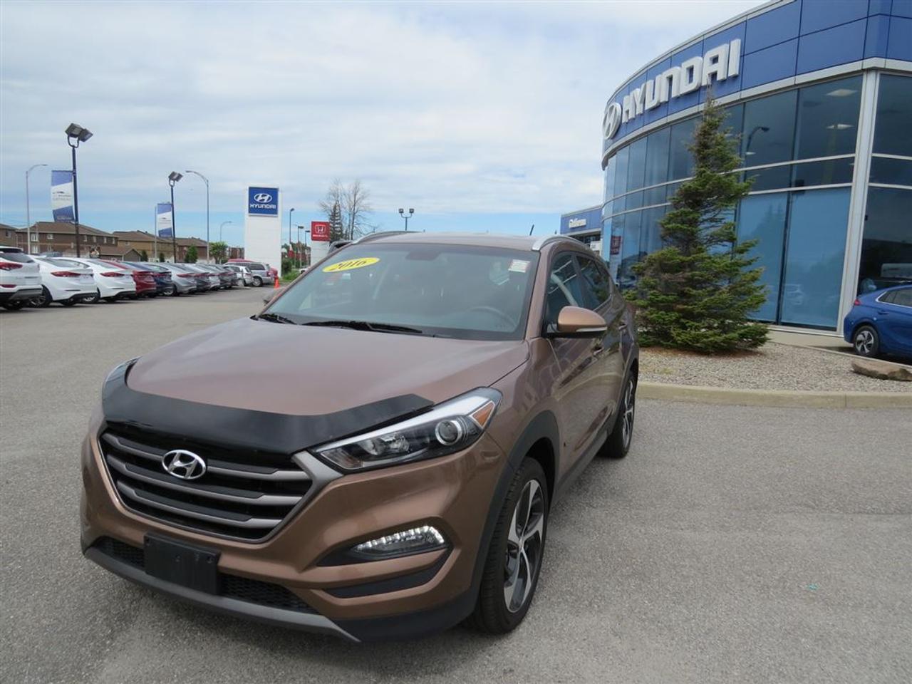 <a href=https://www.hyundaigatineau.ca/occasion/Hyundai-Tucson-2016.html>https://www.hyundaigatineau.ca/occasion/Hyundai-Tucson-2016.html</a>

Chez Hyundai Gatineau tous nos véhicules sont minutieusement inspectés en 150 points et réparés par notre département de service certifié. Les véhicules âgés de moins de 8 ans sont garantis au complet auminimum 1mois ou 1700km (en plus de transférer la garantie du manufacturier).On vous fournit également le rapport Car Proof et le kilométrage est certifié.Garantie prolongée disponible sur tous nos véhicules. Nousreprenons les échanges de toutes marques et chez Hyundai Gatineau. De plus, nous offrons différents plans de financement à taux très avantageux. Nous avons des spécialistes de 2 ième chance au crédit surplace avec plus de 10 ans dexpérience dans le domaine. Nous sommes en service depuis plus de 18 ans et grâce à plusieurs références, notre clientèles vient de partout au Québec Rive Nord, Rive Sud, Ville de Québec,Gaspésie,Montréal. Livraison rapide. Faite une demande internet ou appelez nous et voyez pourquoi chez Hyundai Gatineau, Ça vautle détour!     At Hyundai Gatineau all our vehicles are thoroughly inspected in 150 points and repaired by our certified service department. Vehicles under 8 years of age are fully guaranteed a minimum of 1 month or 1700km (in addition to transferring the manufacturers warranty) .The CarProof report is also provided and mileage is certified. Extended warranty available on all vehicles. We are taking over all brands and at Hyundai Gatineau. In addition, we offer various financing plans at very attractive rates. We have second-chance credit specialists on-site with more than 10 years experience in the field. We have been in service for more than 18 years and thanks to several references, our clients come from all over Quebec Rive Nord, South Shore, Quebec City, Gaspésie, Montreal. Quick delivery. Make an Internet request or call us and find out why at Hyundai Gatineau, its worth a detour!