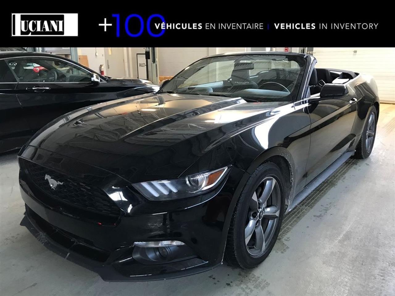 <a href=https://www.lucianiinfiniti.ca/occasion/Ford-Mustang-2017.html>https://www.lucianiinfiniti.ca/occasion/Ford-Mustang-2017.html</a>

234$/ 2 SEMAINES sur 84 mois , 0$ comptant !!!!   JAMAIS ACCIDENTÉ!!  ACCIDENT FREE!!!!  bluetooth, sièges electriques, camera de recul, paddle shift , lumière automatique, push start et BIEN PLUS ENCORE !!!   bluetooth, electric seats, back up camera, paddle shift, automatic light, push start and SO MUCH MORE !!!