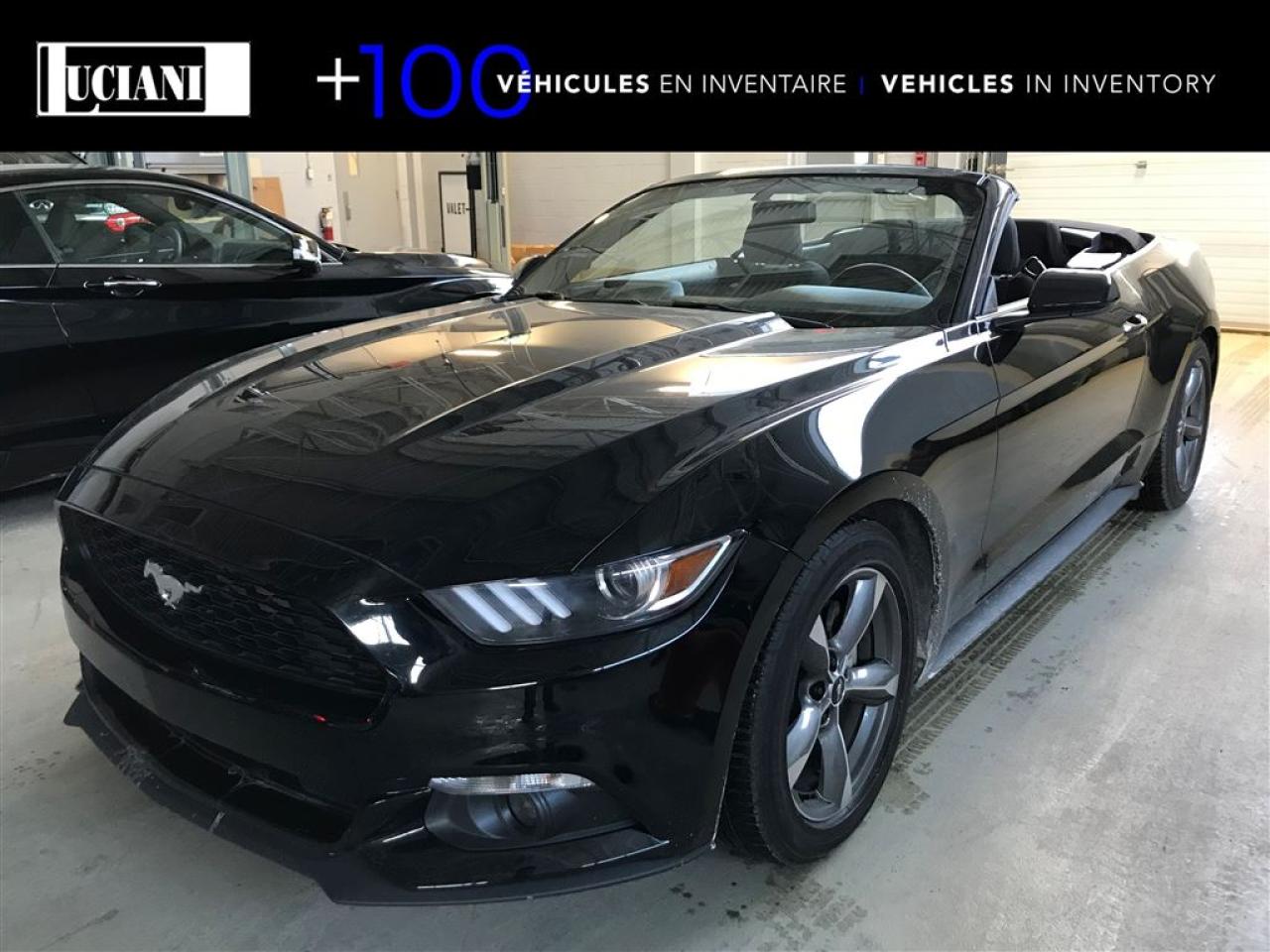 Used 2017 Ford Mustang CONVERTIBLE V6 for sale in Montréal, QC