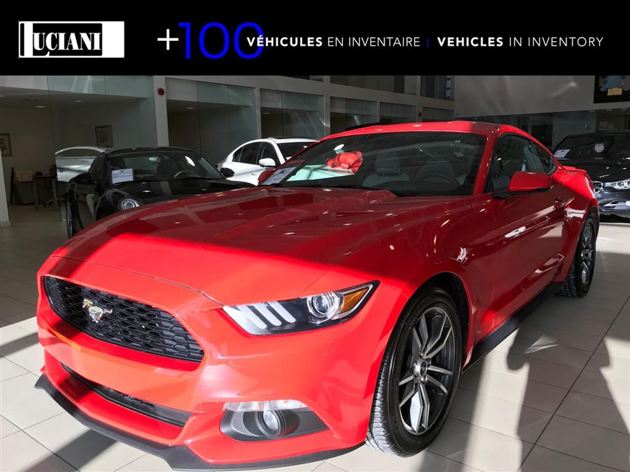 <a href=https://www.lucianiinfiniti.ca/occasion/Ford-Mustang-2015.html>https://www.lucianiinfiniti.ca/occasion/Ford-Mustang-2015.html</a>

213$/ 2 SEMAINES sur 84 mois, 0$ comptant !!!!!      JAMAIS ACCIDENTÉ        ACCIDENT FREE        camera de recul, sièges électriques, sièges chauffant et climatisé, push start, bluetooth, sièges en cuir et bien PLUS ENCORE !!!         back up camera, electric seats, heated and cooling seats, push start, bluetooth, leather seats and MUCH MORE !!!!