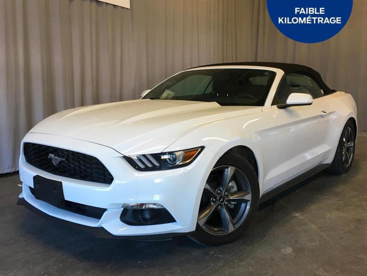Used 2016 Ford Mustang V6 for sale in St-Hyacinthe, QC