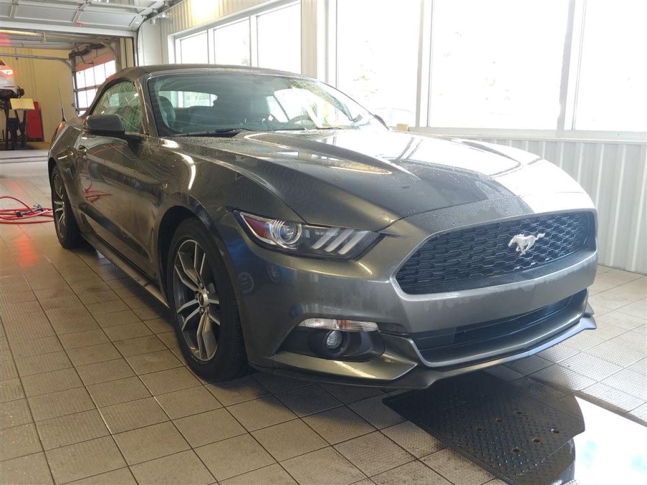 Used 2016 Ford Mustang Ecoboost Premium for sale in Ste-Julie, QC