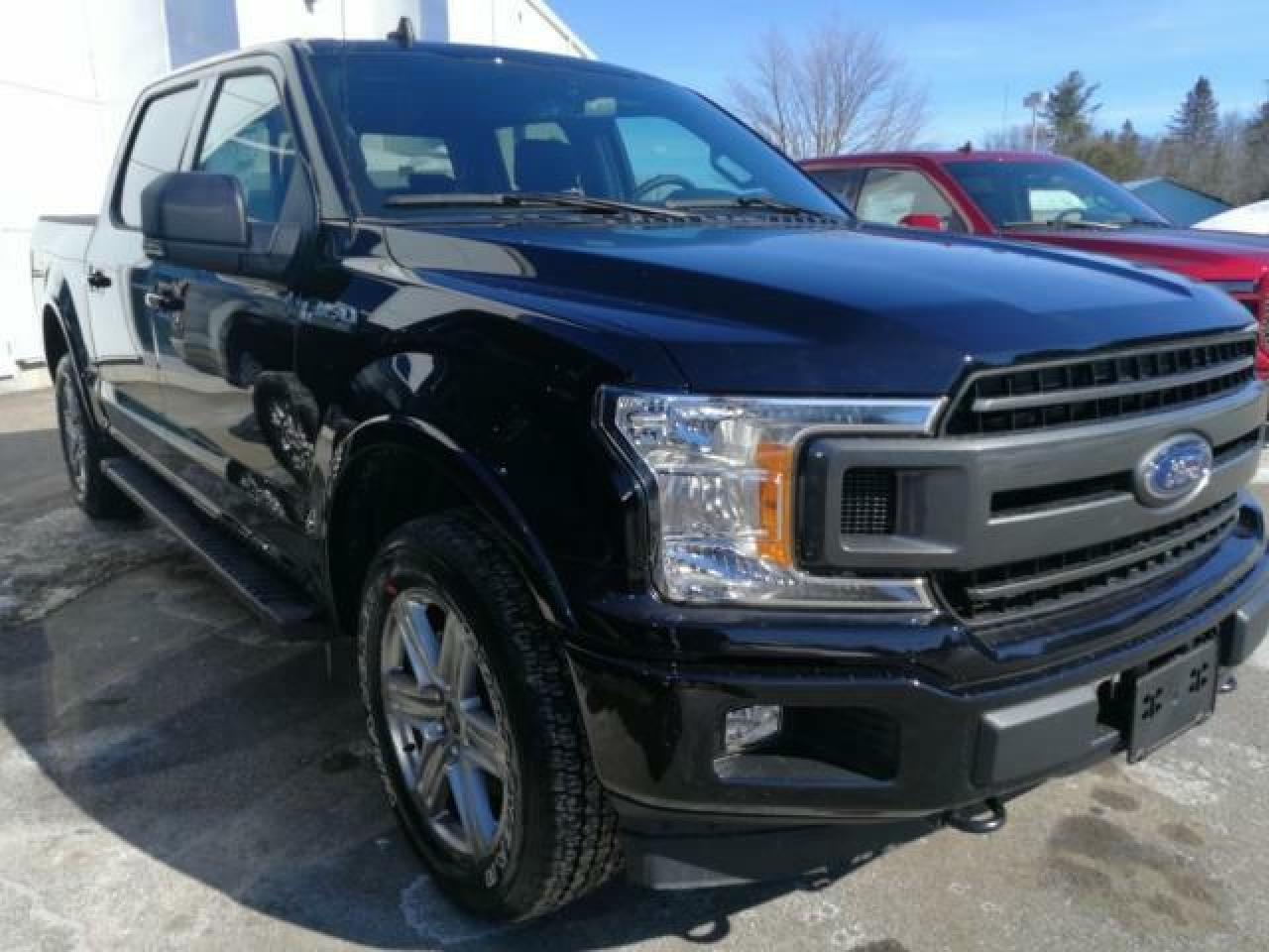 New 2019 Ford F-150 XLT for sale in Pembroke, ON