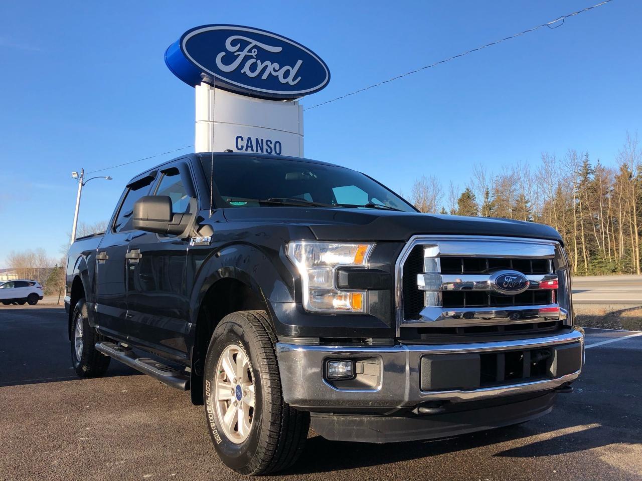 <p>2016 Ford F-150 XLT 4D SuperCrew 4WD<br />5.0L V8 FFV<br />Black<br /><br />Call (902) 625-1338 or (888) 625-1338 for more information, or come by Canso Ford and drive it for yourself!<br /><br />Odometer is 11370 kilometers below market average! One Owner, 4WD, Air Conditioning, AM/FM radio: SiriusXM, Block heater, CD player, Equipment Group 300A Base, Front fog lights, Fully automatic headlights, Remote keyless entry, Security system, Speed control, SYNC Voice Activated Connectivity System, Telescoping steering wheel, Tilt steering wheel, Traction control, Wheels: 17 Silver Painted Aluminum.<br /><br />Benefits of shopping at Canso Ford: <br />- Carfax report with every quality pre-owned vehicle <br />- Full tank of fuel with every quality pre-owned vehicle <br />- 1-Year Tire and Rim Protection with every quality pre-owned vehicle.</p>