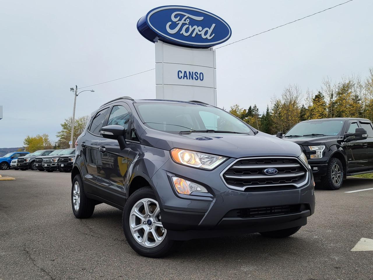New 2020 Ford EcoSport SE 4WD for sale in Manning, AB