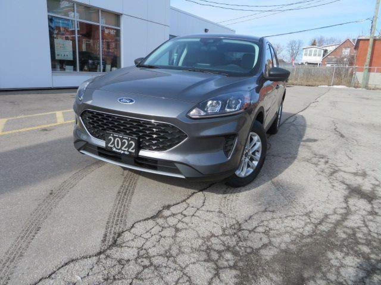 New 2022 Ford Escape SE for sale in Hagersville, ON