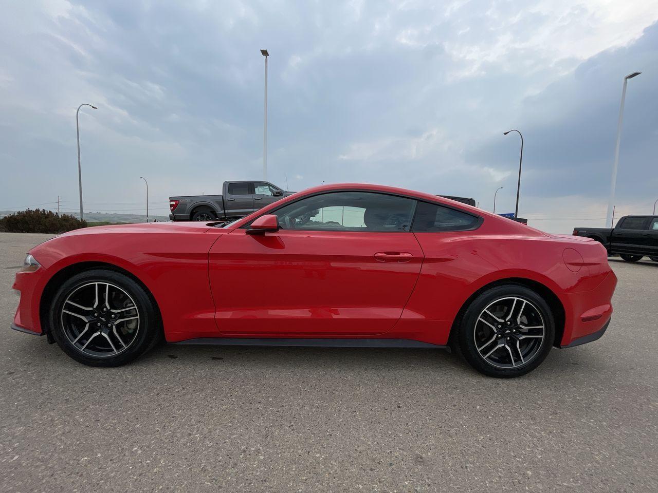 Used 2019 Ford Mustang EcoBoost Fastback NAVIGATION ADAPTIVE CRUISE for sale in Medicine Hat, AB