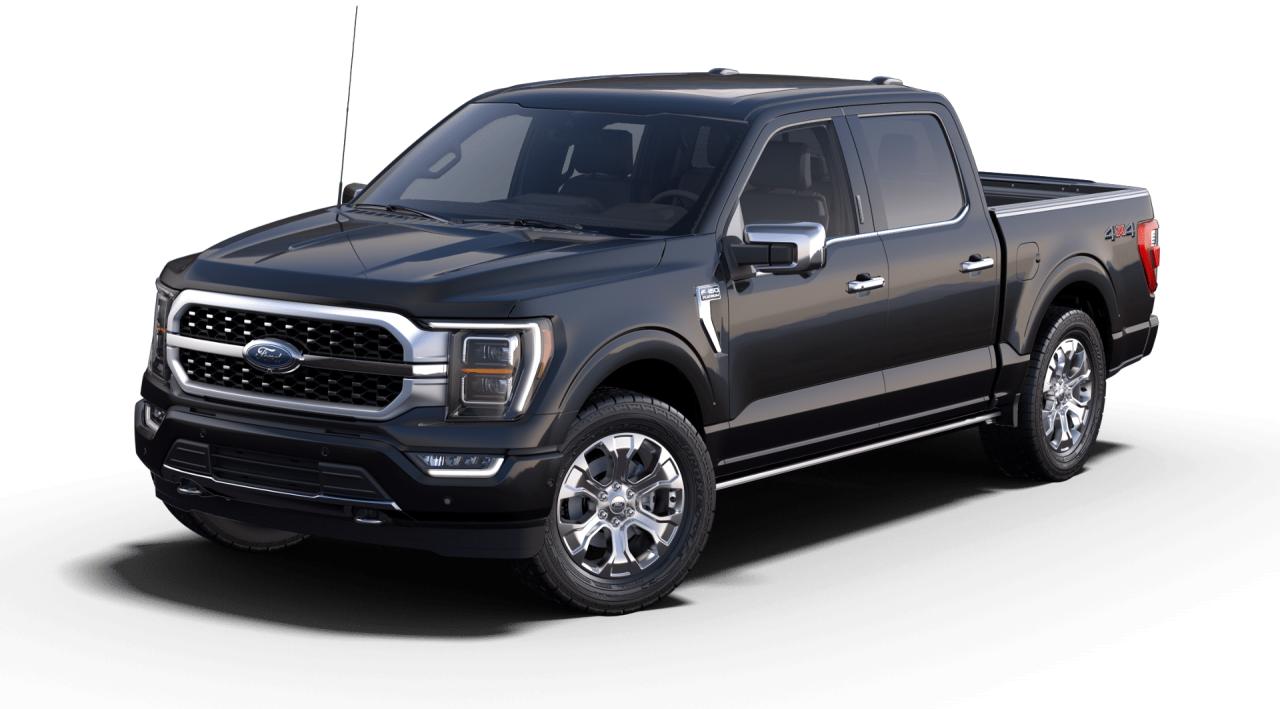 New 2023 Ford F-150 PLATINUM for sale in Woodstock, NB