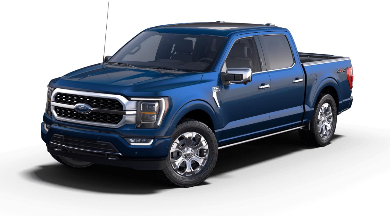 New 2023 Ford F-150 PLATINUM for sale in Woodstock, NB