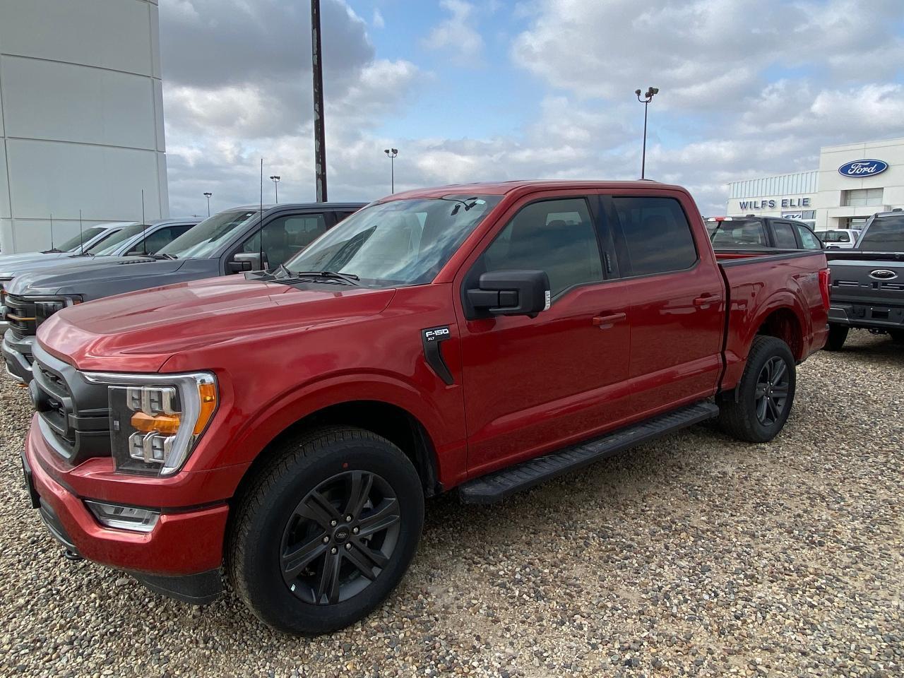 New 2023 Ford F-150 XLT 4WD SUPERCREW 5.5' BOX for sale in Elie, MB