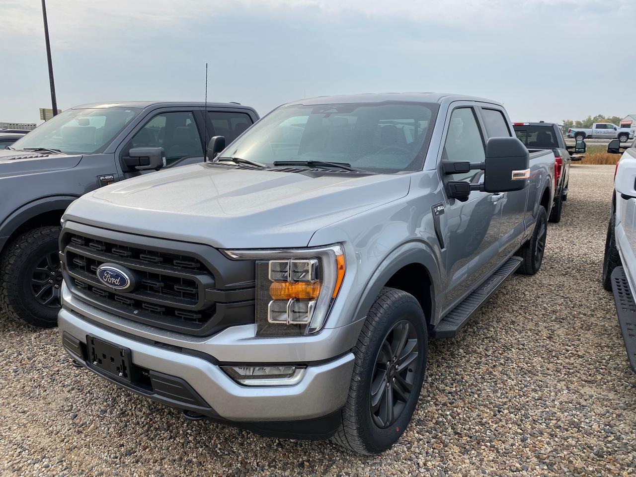 New 2023 Ford F-150 XLT 4WD SUPERCREW 6.5' BOX for sale in Elie, MB