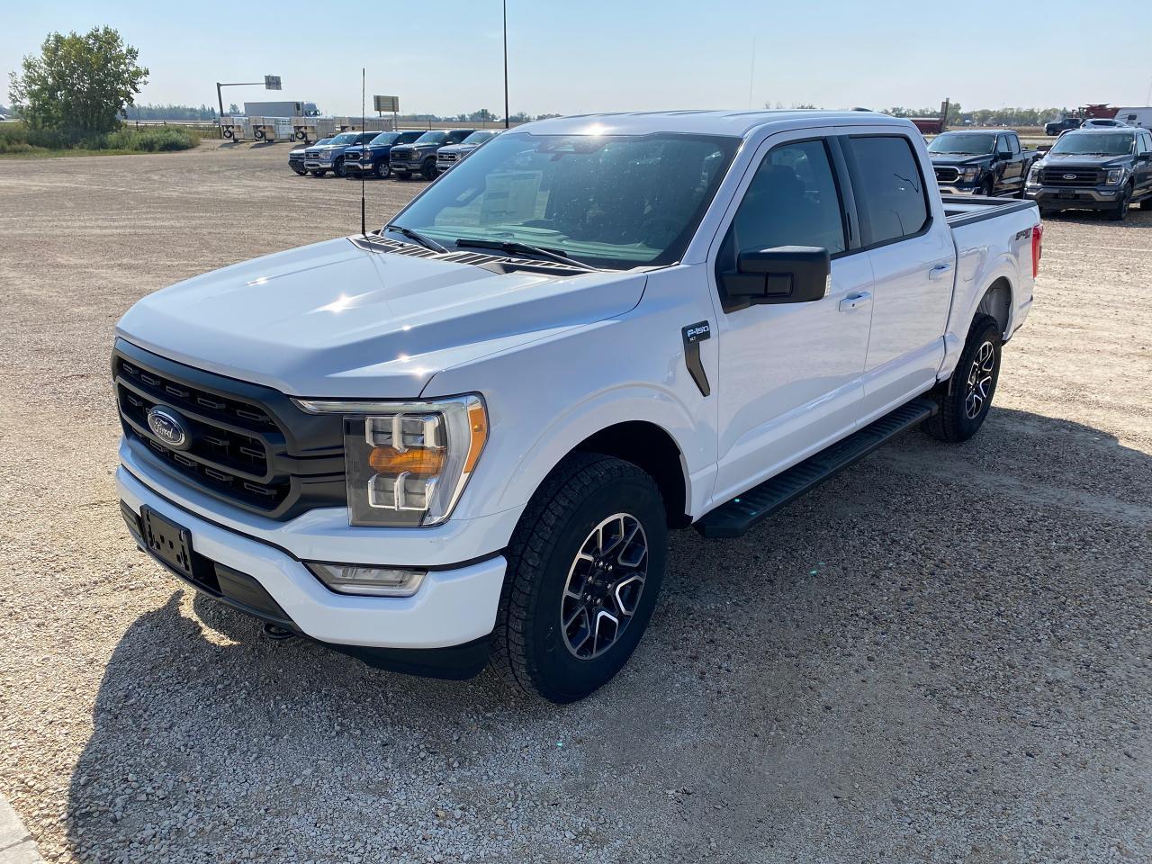 New 2023 Ford F-150 XLT 4WD SUPERCREW 5.5' BOX for sale in Elie, MB