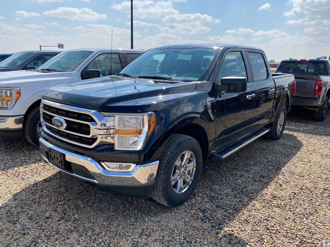 New 2023 Ford F-150 XLT 4WD SUPERCREW 5.5' BOX for sale in Elie, MB