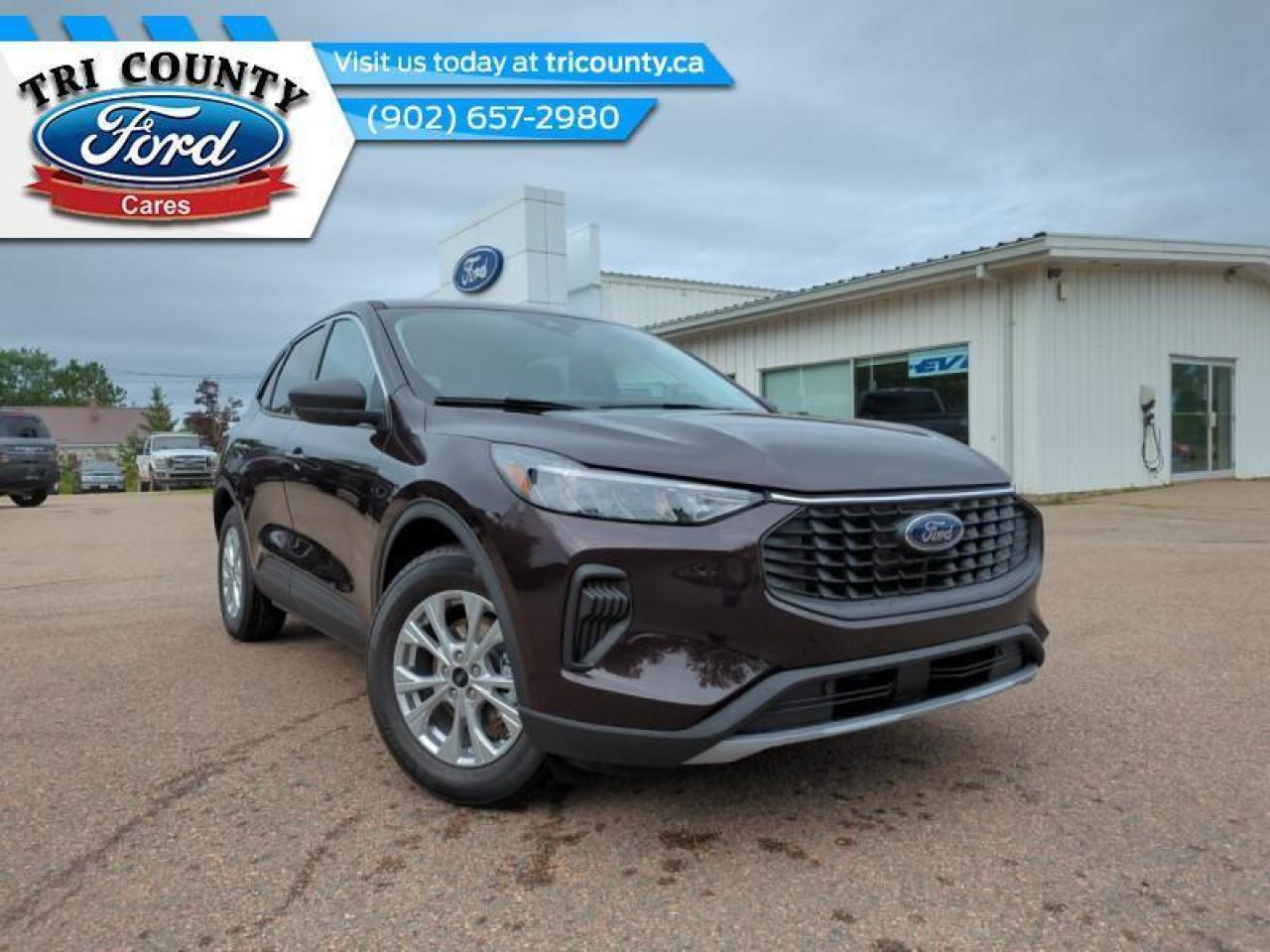 New 2023 Ford Escape Active for sale in Tatamagouche, NS