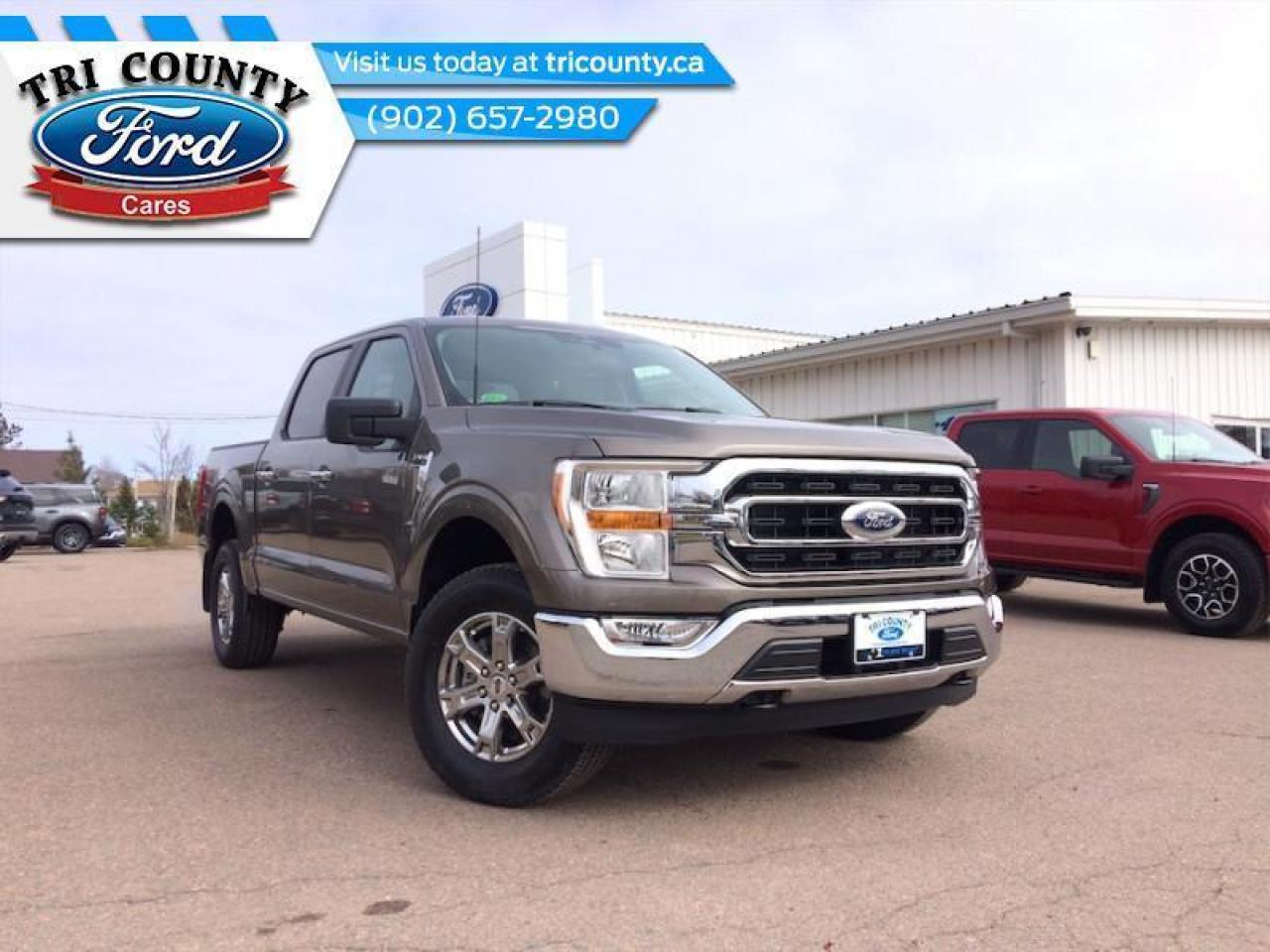 New 2023 Ford F-150 XLT for sale in Tatamagouche, NS