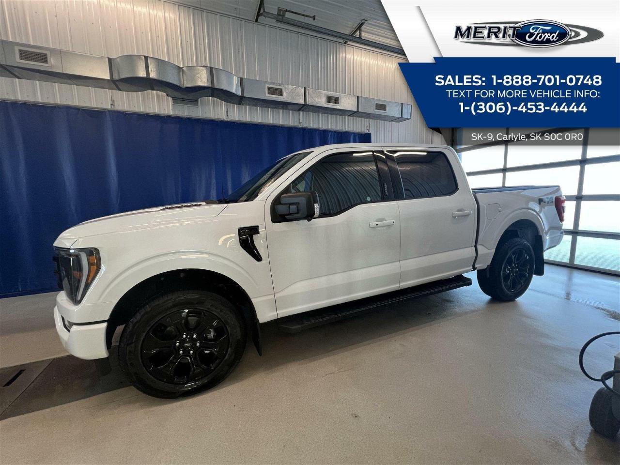 New 2023 Ford F-150 XLT LEATHER for sale in Carlyle, SK