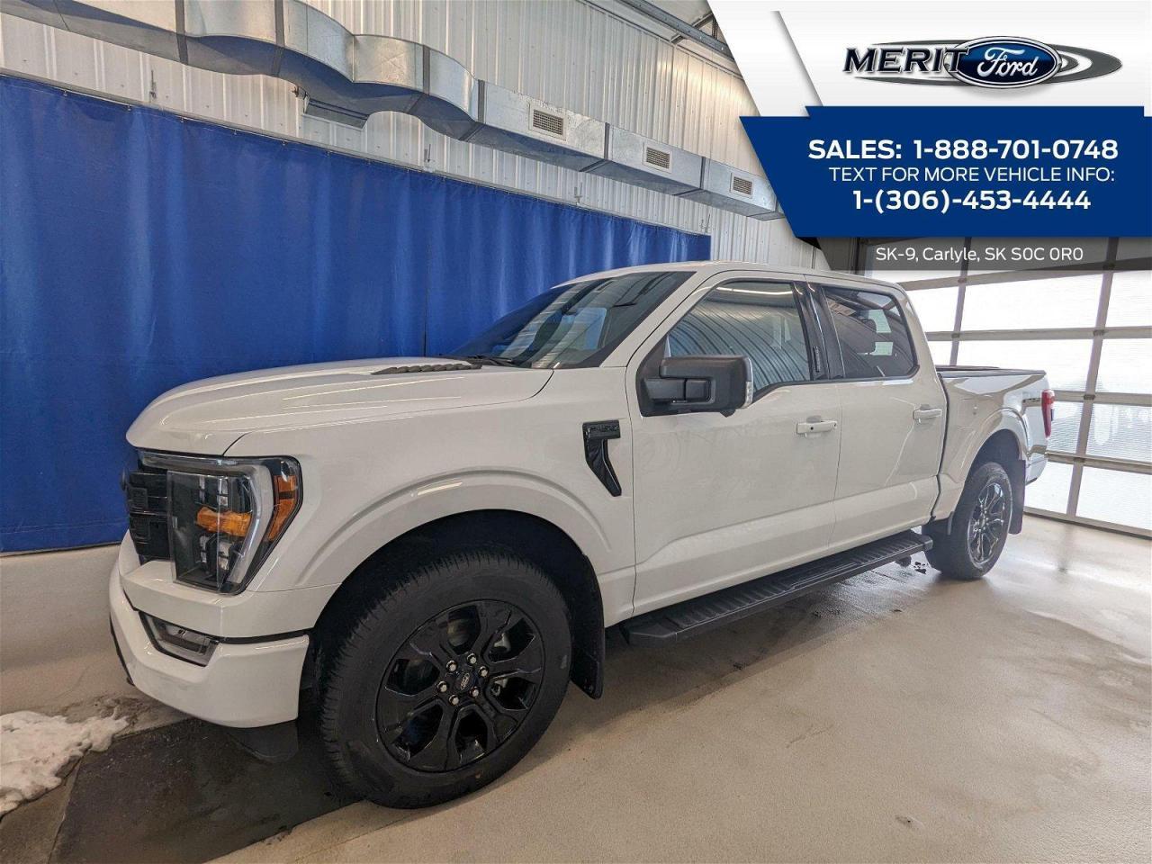 New 2023 Ford F-150 XLT LEATHER for sale in Carlyle, SK