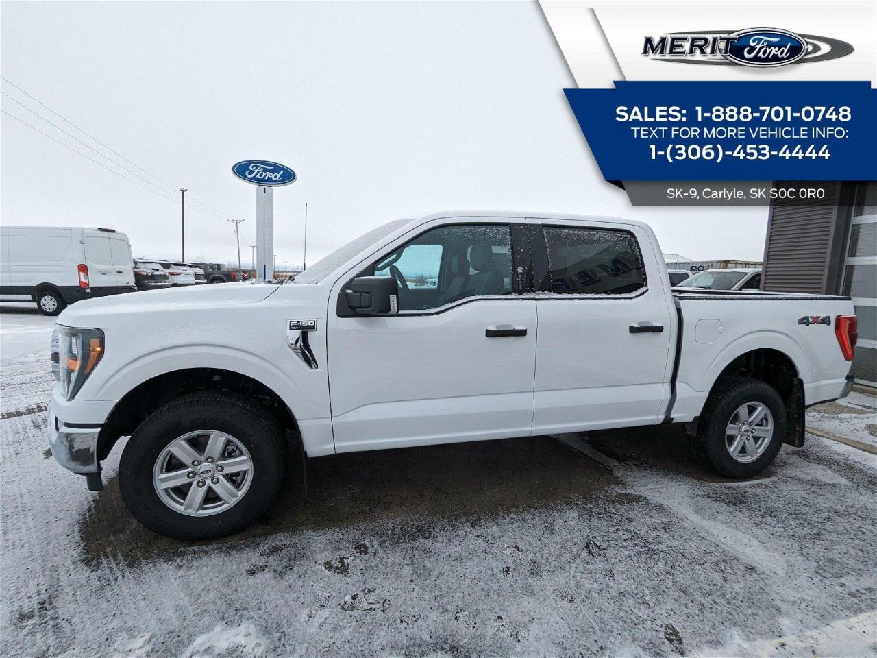 New 2023 Ford F-150 XLT for sale in Carlyle, SK