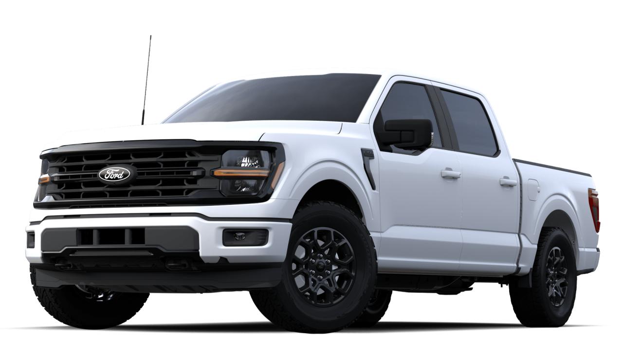 New 2024 Ford F-150 XLT 4WD SUPERCREW 5.5' BOX for sale in Port Hawkesbury, NS