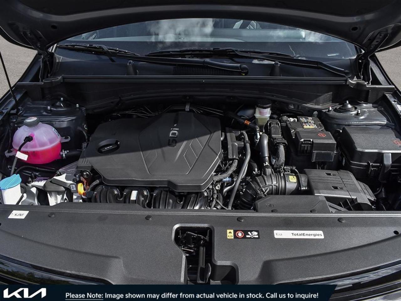 2025 Kia Sportage  - Photo #6