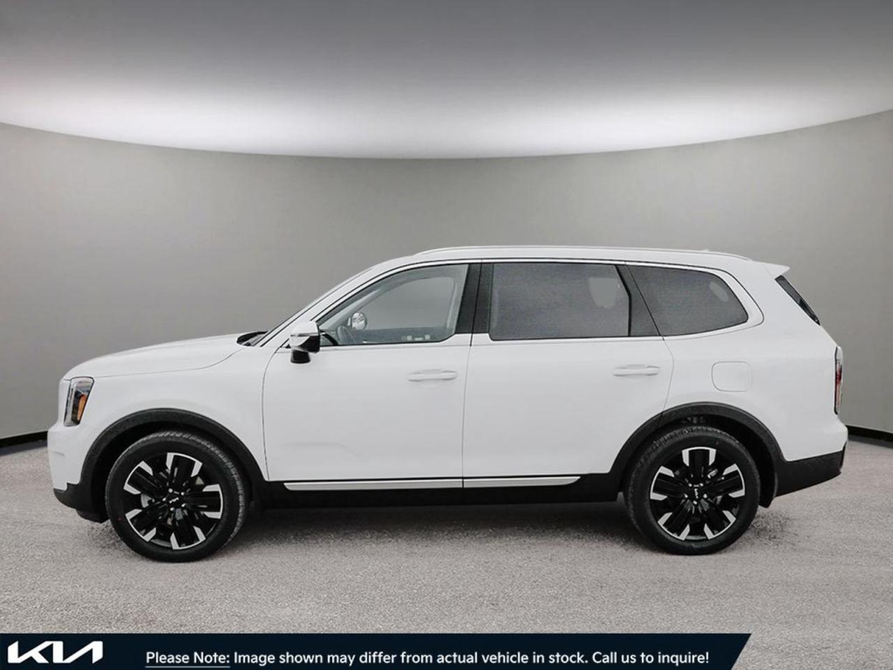 2025 Kia Telluride  - Photo #3
