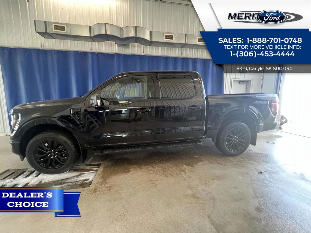 New 2024 Ford F-150 XLT - 4x4, 5.0L V8, Heated/Leather for sale in Carlyle, SK
