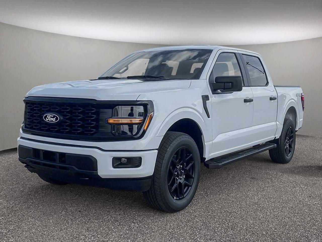 New 2024 Ford F-150  for sale in Etobicoke, ON