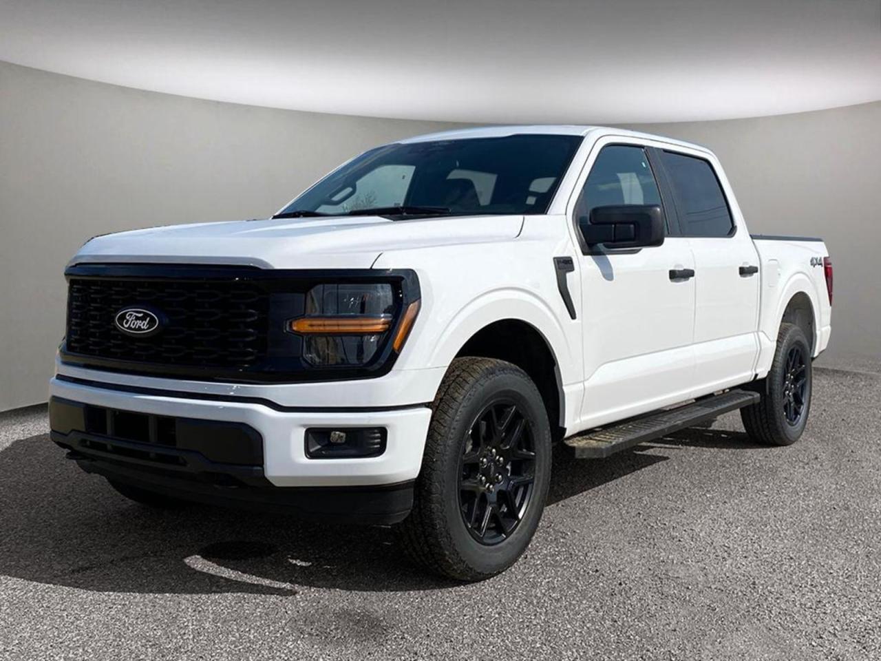 New 2024 Ford F-150  for sale in Etobicoke, ON