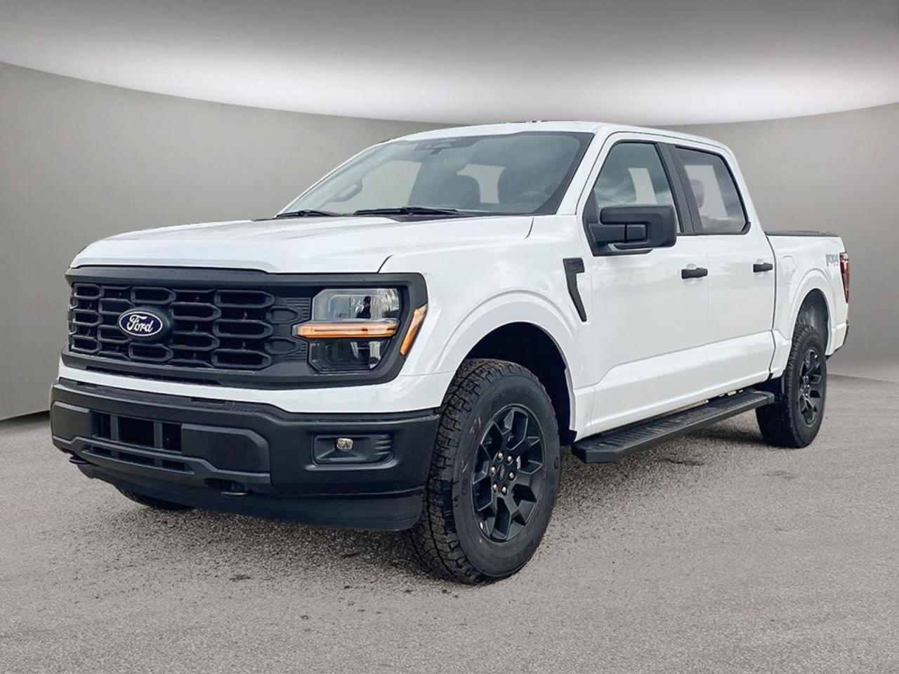 New 2024 Ford F-150  for sale in Etobicoke, ON