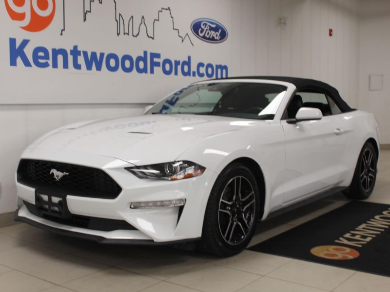 Used 2023 Ford Mustang  for sale in Etobicoke, ON