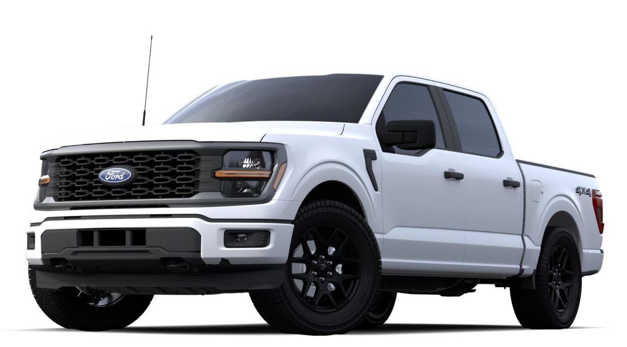 New 2024 Ford F-150 STX® for sale in Fort St John, BC
