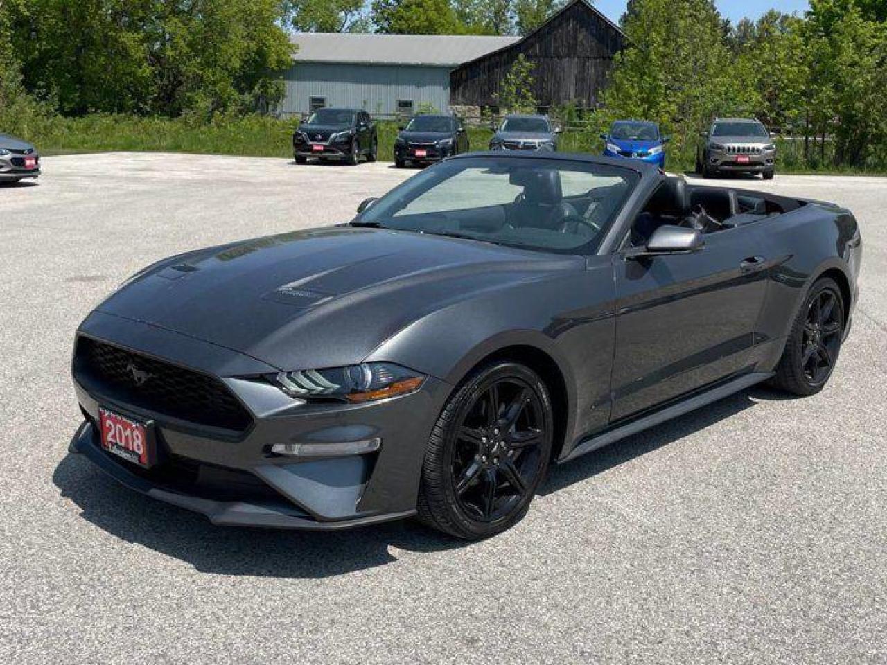 New 2026 Ford Mustang STX for sale in Stratford, ON