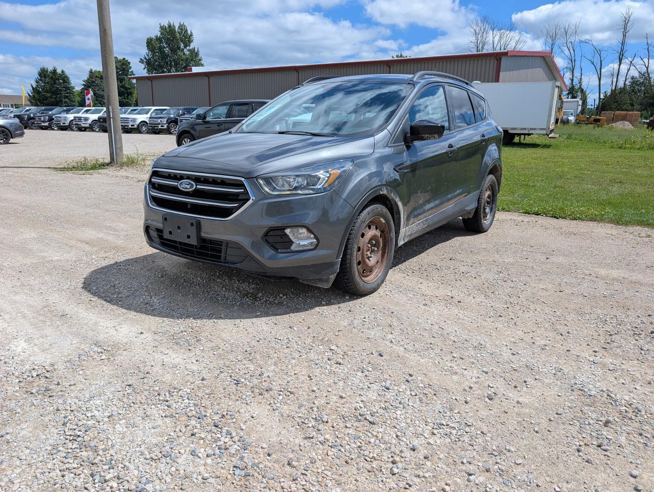Used 2017 Ford Escape 4WD 4dr SE for sale in Harriston, ON