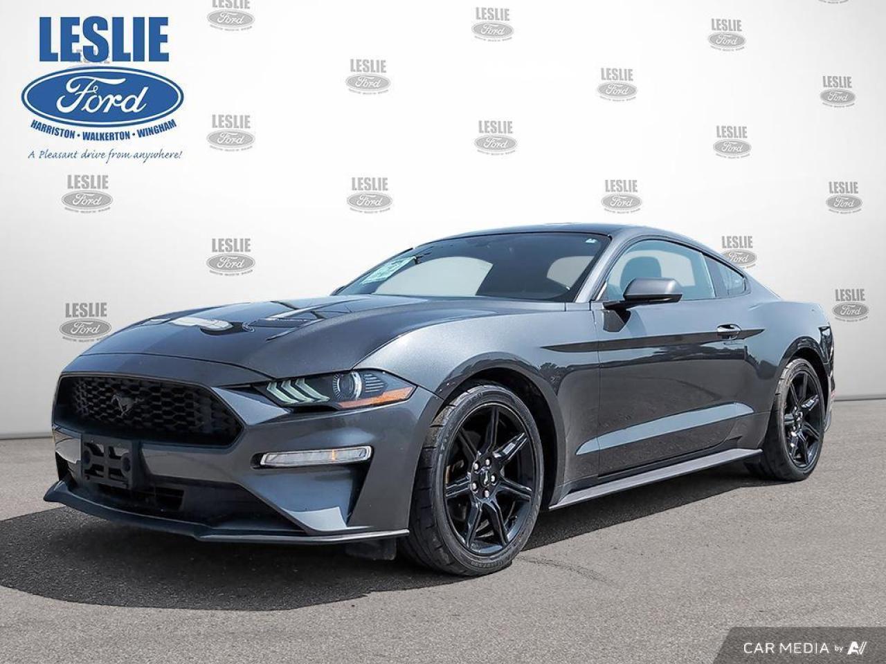 Used 2019 Ford Mustang EcoBoost Fastback for sale in Harriston, ON