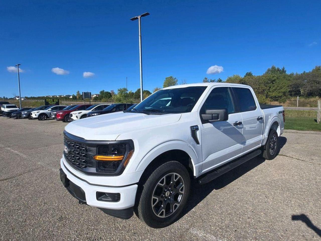 New 2025 Ford F-150 STX, TRAILER HITCH, 20