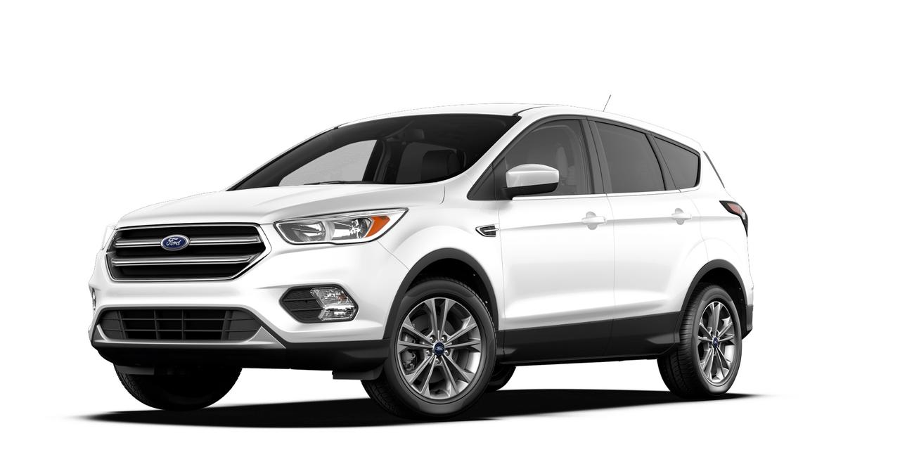 Used 2017 Ford Escape SE for sale in Walkerton, ON