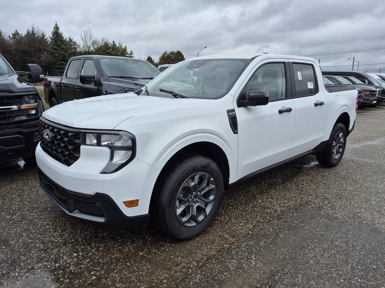 716636.12447146